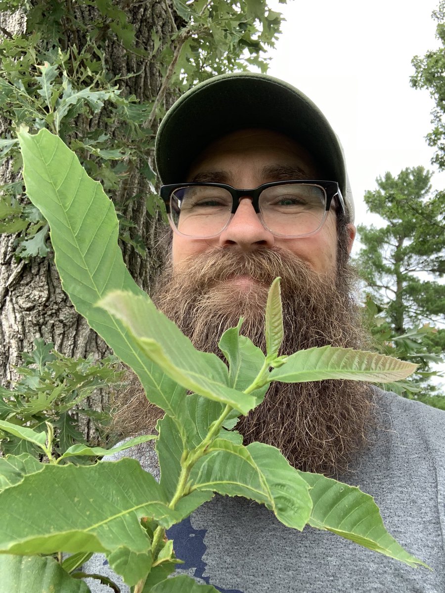 drbillyjbeck's tweet photo. Every time I visit SE #Iowa, someone gives me #trees or seed. 🤩 🌳 💪
Can’t beat that!
#extensionlife #forestry #iowastate https://t.co/3ityadlr4i