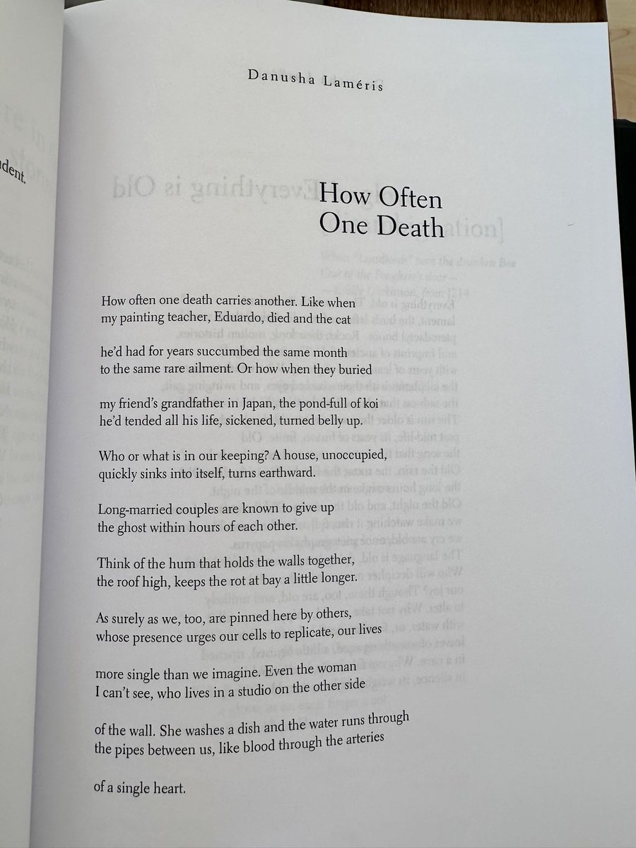 A new poem in RHINO 🦏