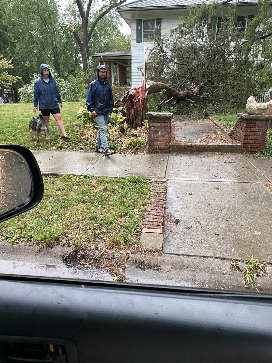 KC Tomato tweet media