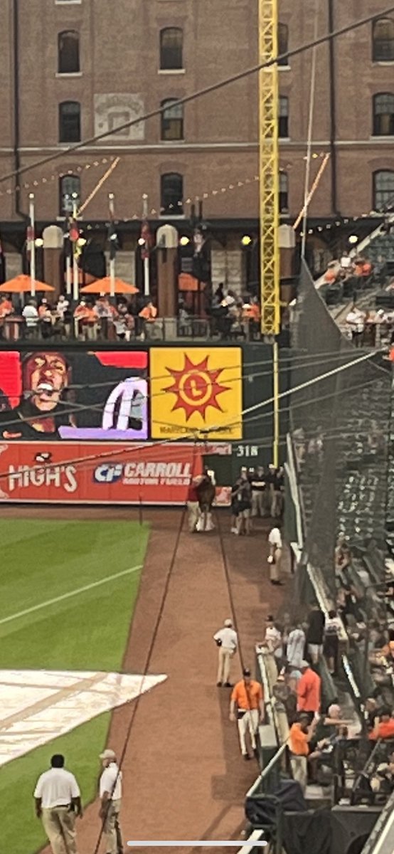 masnRoch's tweet image. There’s a horse on the warning track. That’s all I’ve got.