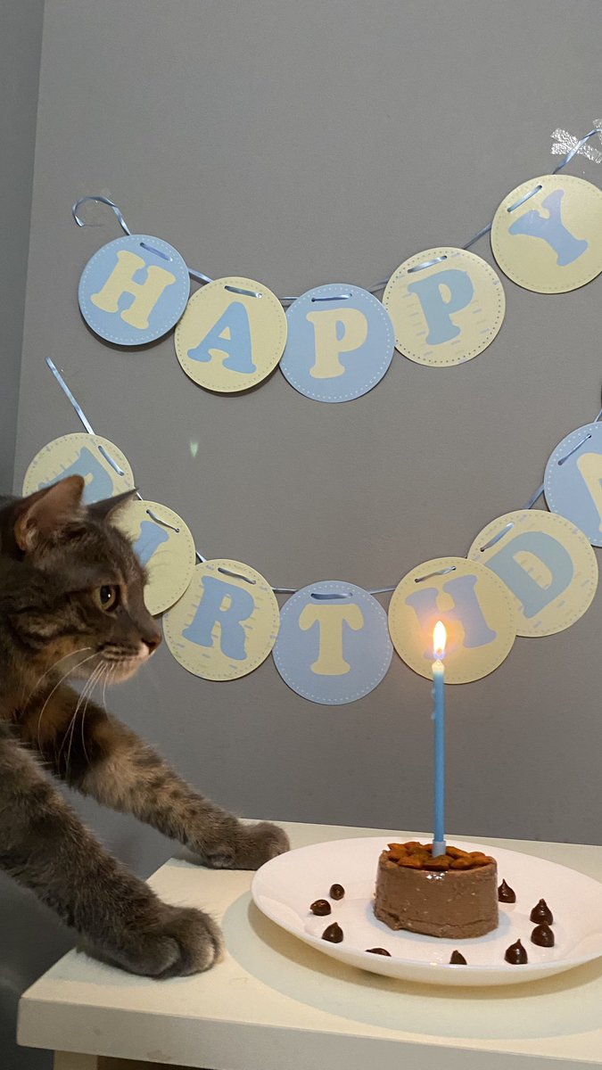 Güzel bebeğim 4 oldu 🥹🧿🎂