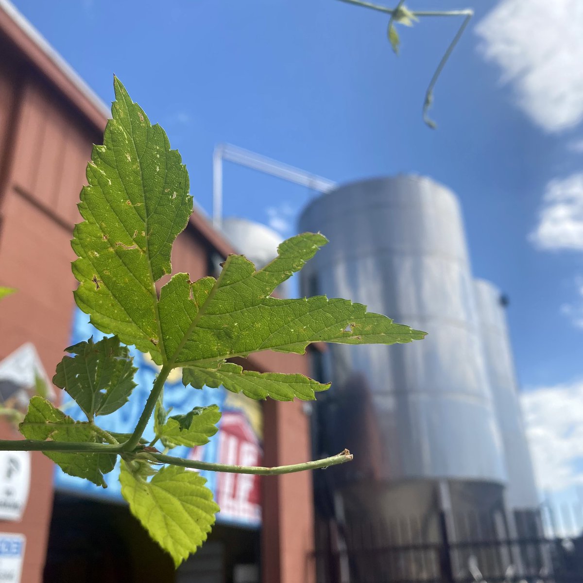 Hoppy Friday! Sign up for a tour of our OG Ballpark brewery location this weekend 📆⬇️

commerce.arryved.com/location/BPPX5…