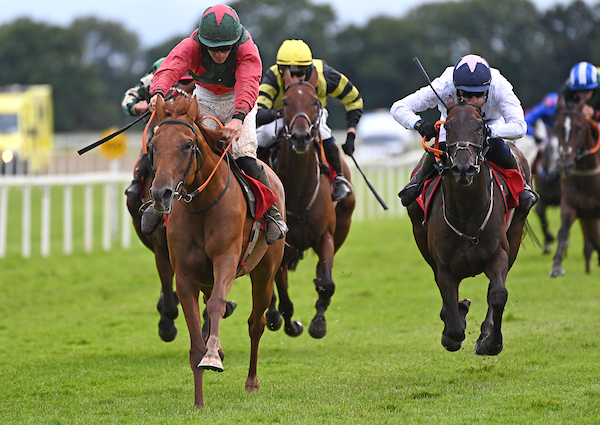 🏆 Result of the 7th race 🎉

📸⬇️Jockey David Doyle on route to recording his first career win in the <a href="/CoolagownStud/">Coolagown Stud</a> INH Flat Race, for Trainer Tim Doyle, aboard Beauforts Storm. 

📸Photo Healy Racing