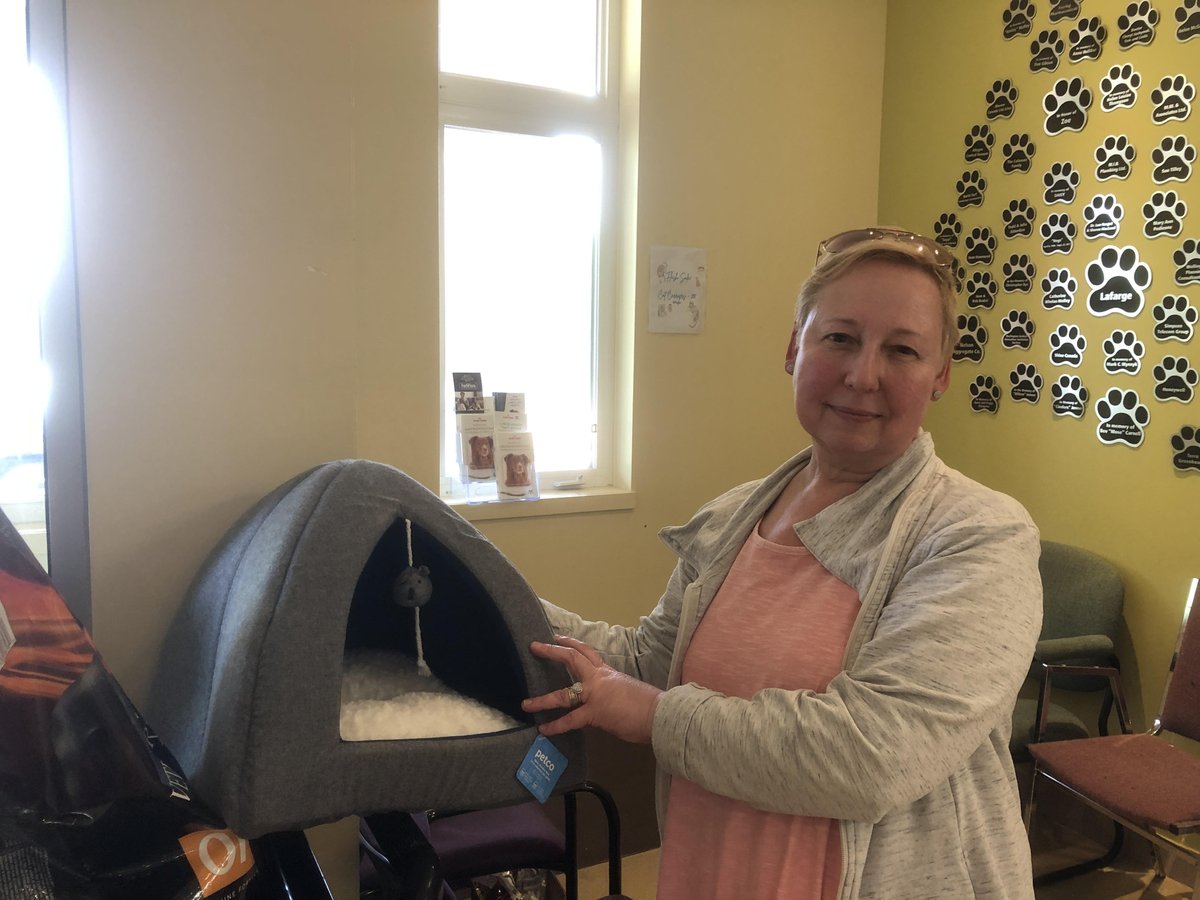 BurlHumane's tweet image. Thank you very much Lynn for all the wonderful cat items you brought in,  It is very generous of you and our cats will love them.  Thank you!