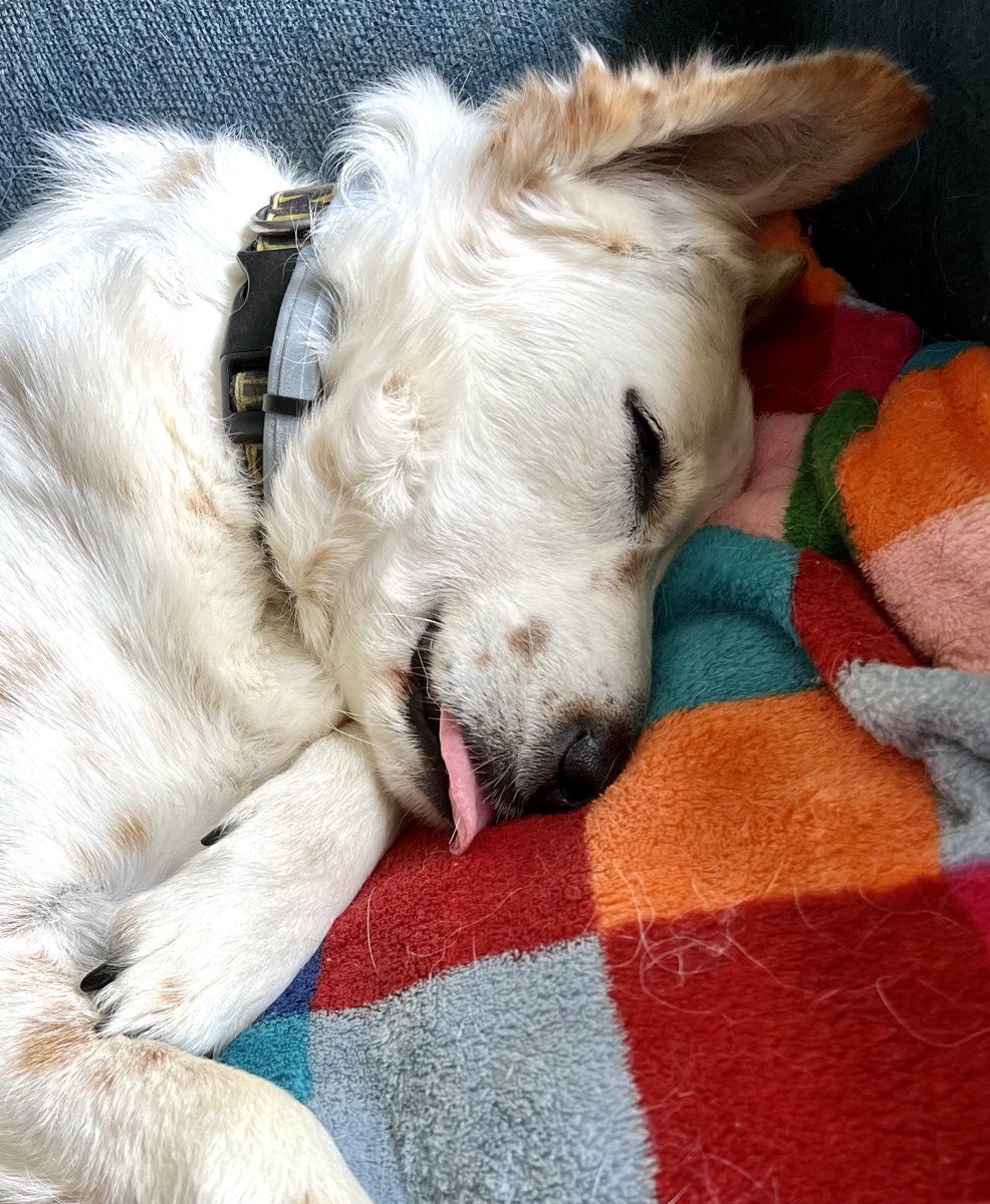 Wishing you a GREAT weekend along with the kind of nap that's SO GOOD you just can't keep your tongue in your mouth!!