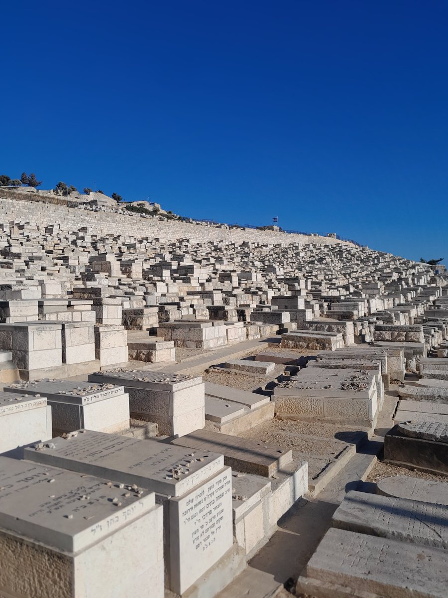 Don_Lazzara's tweet photo. #Gerusalemme. La Valle del #Cedron (nelle foto), è situata tra la Città Vecchia di Gerusalemme e il #MontedegliUlivi, dove Gesù andò a pregare prima di essere consegnato ai sommi sacerdoti. La valle, prende il nome dal torrente Cedron. In ebraico "Qidròn", significa "oscuro", poiché originariamente questa valle era più profonda. Dal IV secolo fu chiamata "Valle di #Giosafat", nome che nella #Bibbia ricorre in Gioele 4,2-12 e designa il luogo del #GiudizioUniversale. Nella valle si trovano moltissimi sepolcri antichi, tra i quali le tombe dette "di #Assalonne" e "di #Zaccaria". In seguito è diventata per quello che rappresenta il cimitero degli ebrei, i quali così si troverebbero nel posto da cui #Dio darà inizio al Giudizio Universale. La tradizione individua in questa valle, la zona in cui avvenne la lapidazione di #SantoStefano.