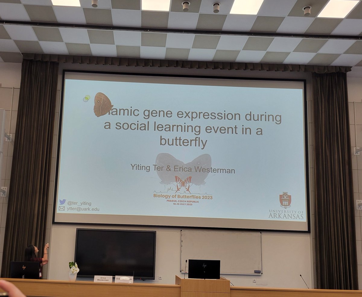 ter_yiting's tweet photo. Had a blast presenting my research about learning and its genes/ dynamic pattern this past week at Prague! #BoB2023 

Had a bigger blast meeting other butterfly people and getting to hear such exciting research! 

P.s. The presentation messed up my "D (bicyclus) ynamic" joke :( https://t.co/cnjDYjzbtc