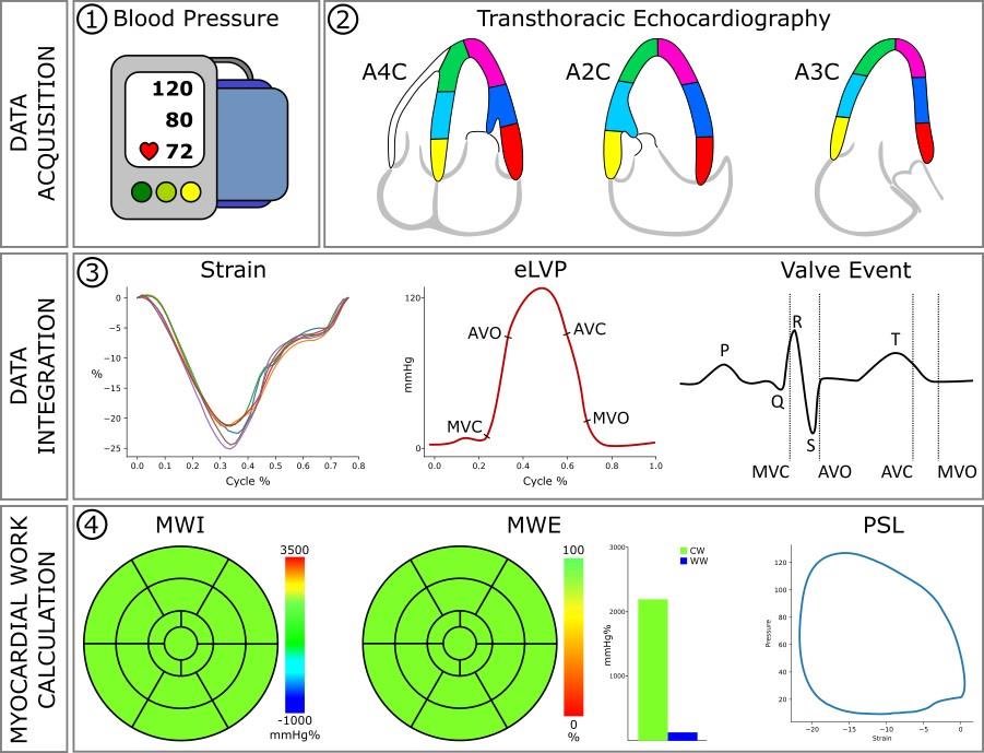 Serginho1409's tweet photo. State-of-the-Art: Non-Invasive Assessment of Left Ventricular Function through Myocardial Work. Journal of the American Society of Echocardiography
https://t.co/Q1PPbjc508
#CardioEd #echfirst #cardiotwiteros #EchoFirst https://t.co/UOy7kg0iY5