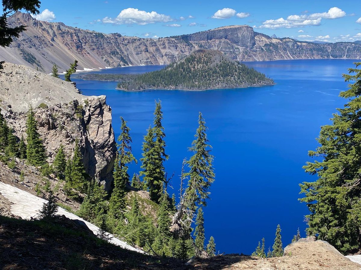 Angela Lese (she/her) tweet media