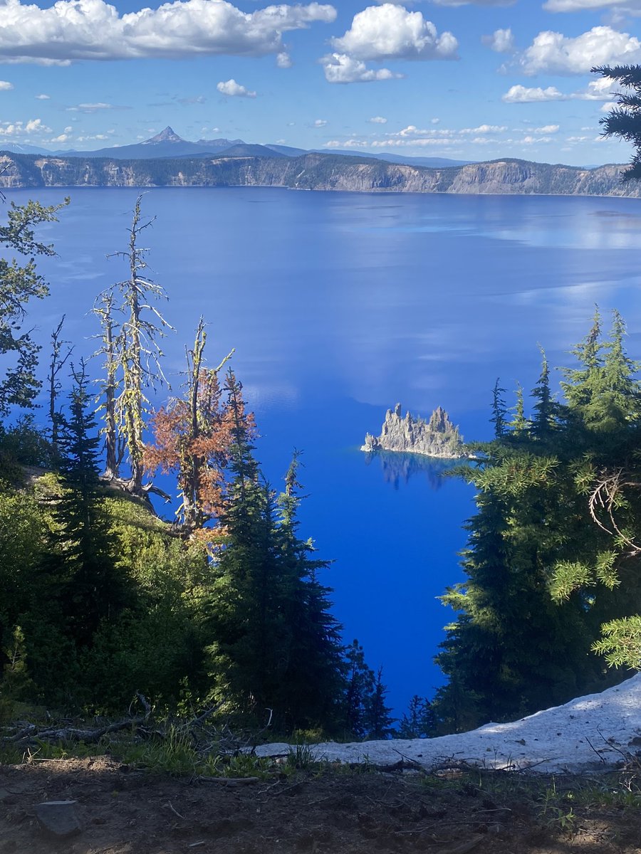 Angela Lese (she/her) tweet media