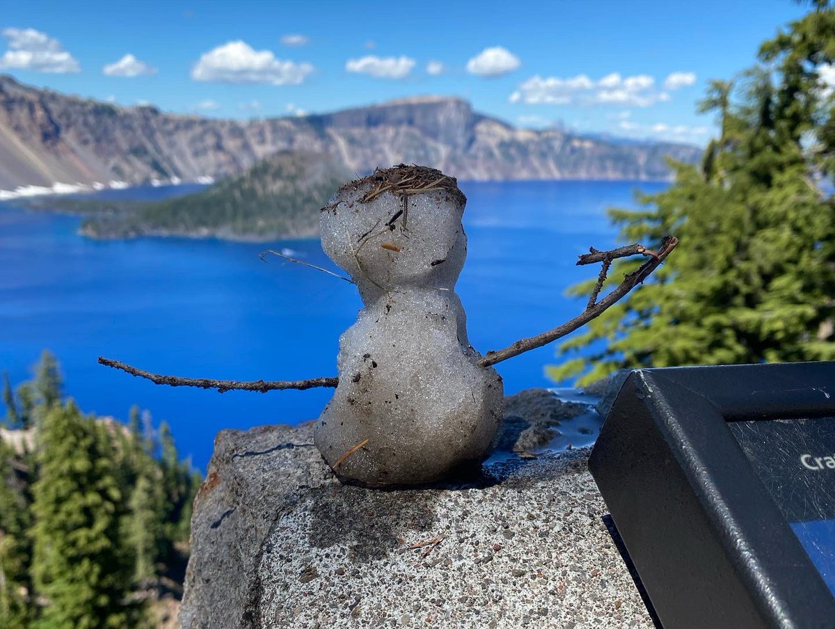 Angela Lese (she/her) tweet media