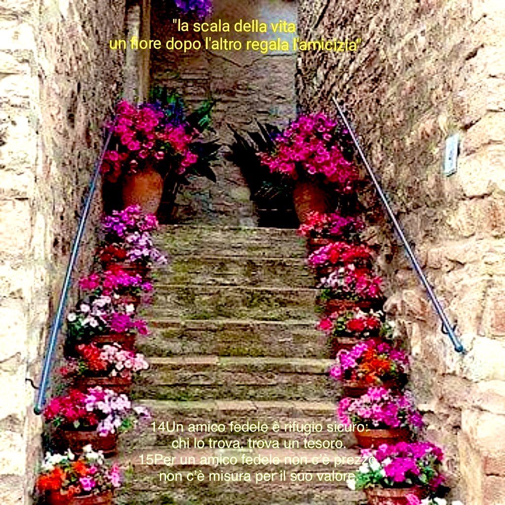 AldinaConsolini's tweet photo. Una bocca amabile moltiplica gli amici, un linguaggio gentile attira i saluti (Sir 6, 5)
L’amicizia è sempre un dono. Non è qualcosa che si può programmare o calcolare, ma si può fare crescere.
 Dove non c’è amore, mettiamo amore e otterremo amore.
In amicizia sia
#Buonanotte https://t.co/F0fPIZiubT