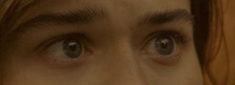 beaschat's tweet photo. Today's subject: Kit's huge marble eyes 
WAITING FOR WILLOW #SaveWillow #Willow https://t.co/NtAEHmm8h4