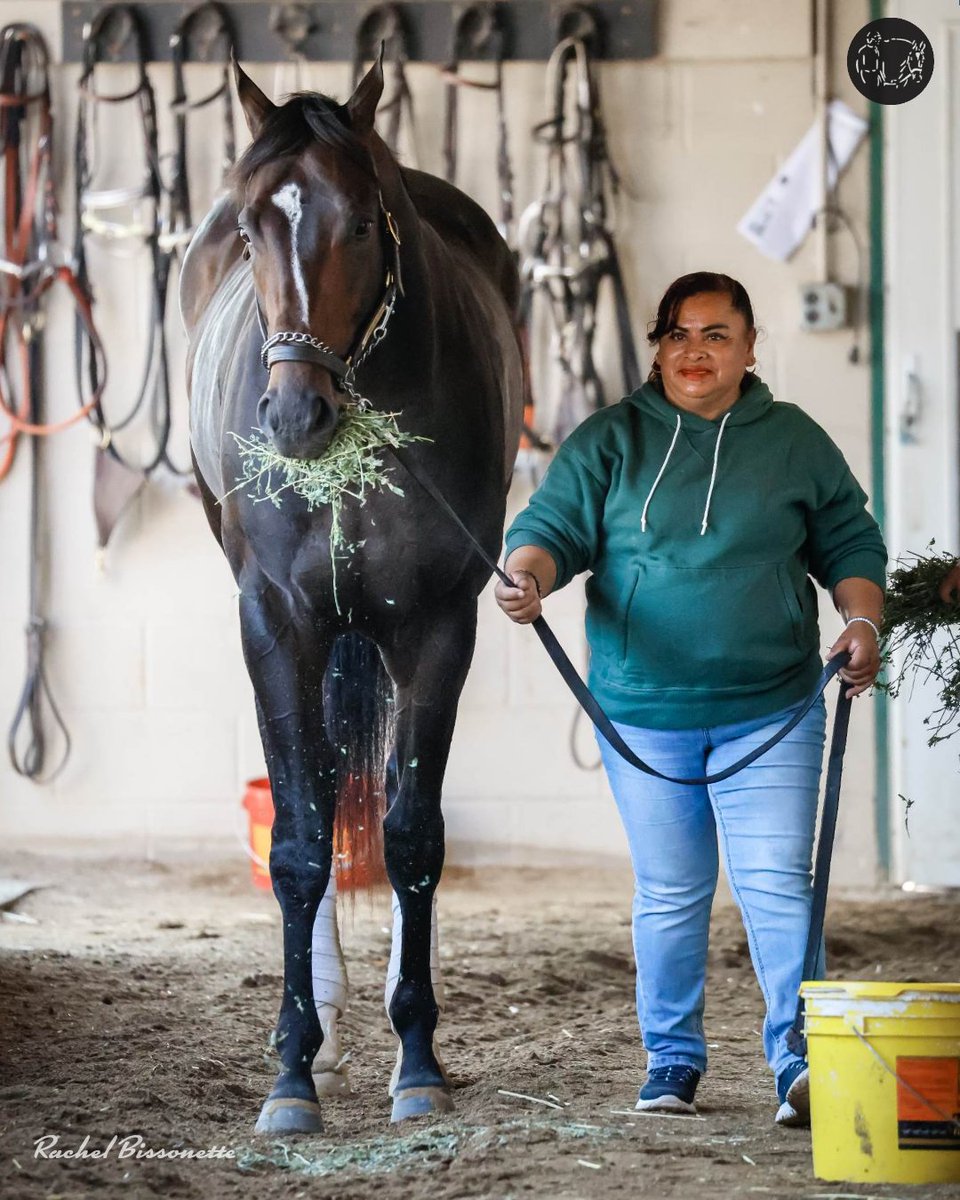 WeAreTeamLovell's tweet photo. Stop everything! Damon's Mound wants a bite of hay. πΎ
π·: @Rachelbissonet2 Photography for @allbouttherace
#WeAreTeamLovell #TeamLovell #MichelleLovellRacing #DamonsMound #HayBurglar #HorseRacing #TheBusinessOfHorseRacing #AllAboutTheRace https://t.co/KSt9ArKm0P