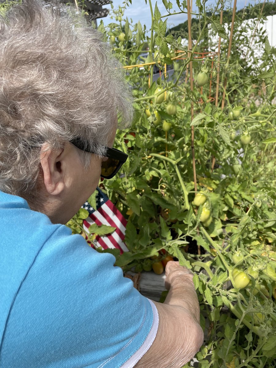 ParkTerraceHC's tweet photo. Remember sitting around snapping beans. We have plenty for everyone to enjoy. Our residents love to cook together. We are family at Park Terrace! #LegacyLane #TrilogyLiving https://t.co/kLDnZPJM5E