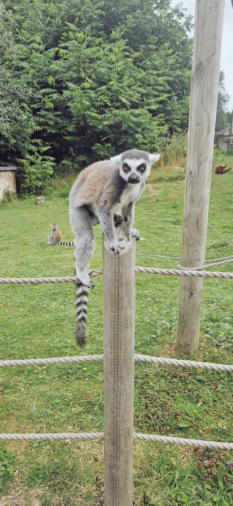 Miss K Forbes tweet media