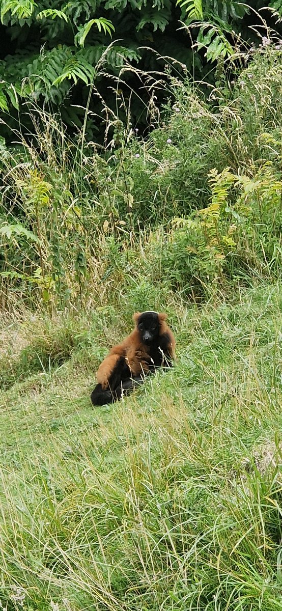 Miss K Forbes tweet media