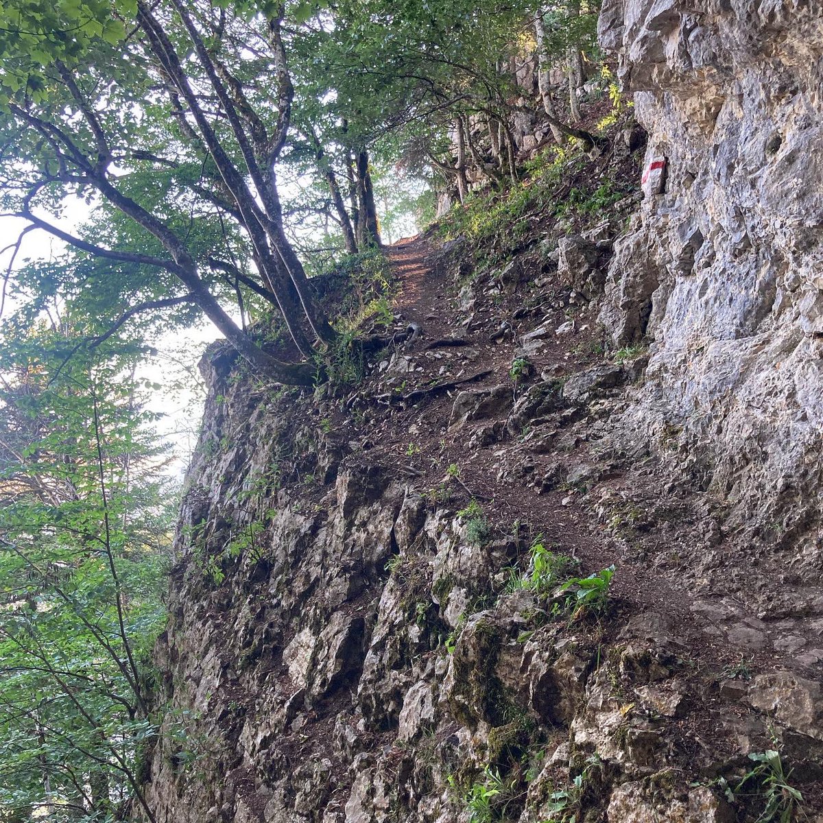 casquetteverte's tweet photo. Toujours aussi formidable pour les yeux et les gambettes ce tour 😍 • #CasquetteVerte #Running #Trail #UltraGlide #Suunto9PeakPro #UT4M #UT4M2023 #UT4MXtrem #UTMB #DiagonaleDesFous #ChouChouGate #Métabief #AiguillesDeBaulmes #Suchet #GreenCap #TimeToPLAISIR #TomorrowIsYours https://t.co/HKZb8OnasV