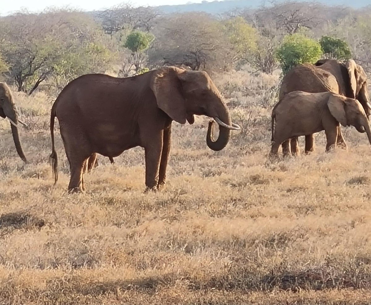 BeaconHillAcad's tweet photo. The view for some of our learners in Kenya today. #LearningThatInspires https://t.co/pReUtgUNyr