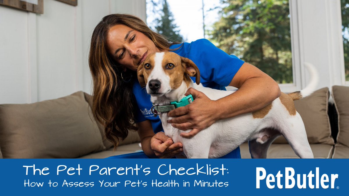 PetButler's tweet photo. Keep a close eye on your pet's health! From nose to tail, learn how to assess their well-being in minutes. Read more: https://t.co/u6AhaKM7LB #PetButler #PetParentTips #HappyPets #PetHealth https://t.co/ahtsbuzIJD