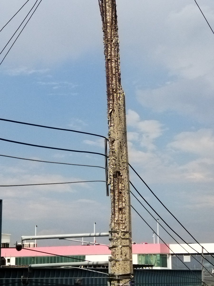 Itzelitta's tweet photo. @CFE_Contigo Poste en pésimo estado, que puede provocar un accidente. En calle paraíso 1681 col del fresno. Desde 2019 hemos reportado y no han hecho nada. @Trafico_ZMG ayuda con RT. https://t.co/1nUABMwCzV