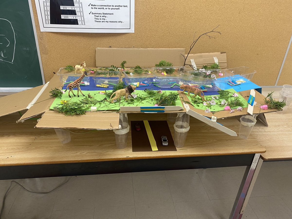 Kirsten Molliconi tweet media