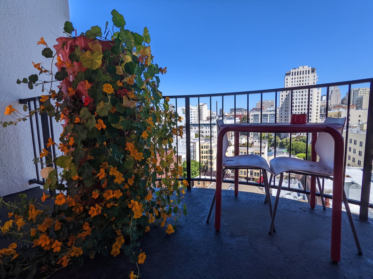 We're firm believers that gardening can be done anywhere and anytime—even on the tallest of balconies.

📸: Joel Andrew Caleb Ponder