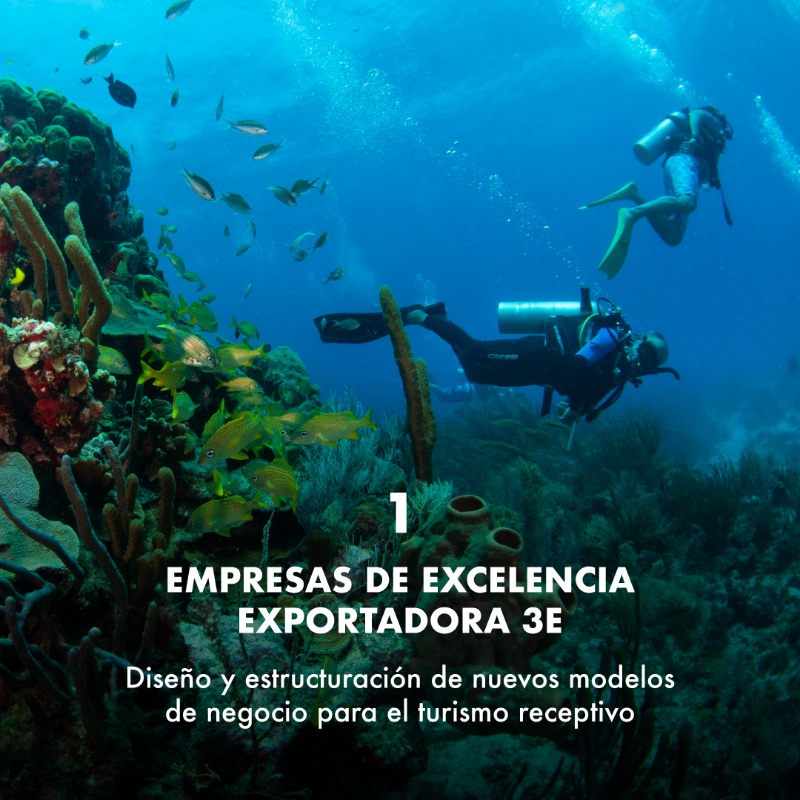 PROCOLOMBIACO's tweet photo. Abrimos la convocatoria para #FabricasDeInternacionalización de Turismo ✈️🌎, una oportunidad para incrementar la llegada de viajeros internacionales a Colombia 🇨🇴 y contribuir al desarrollo de los territorios.​

Conozca más y regístrese ⬇️