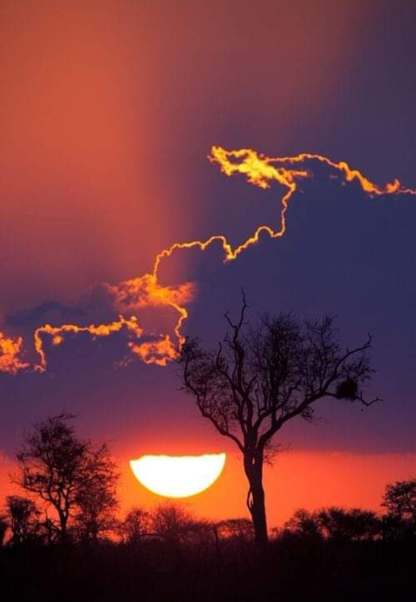 maya's mom tweet media