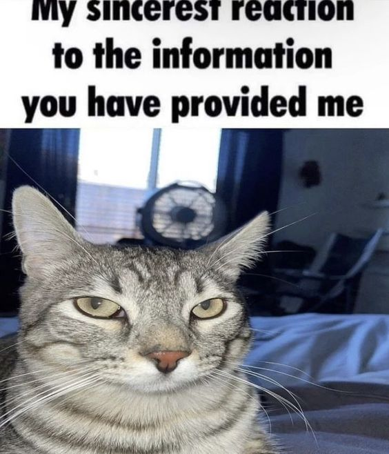 CHA0SSHARDS's tweet photo. :3? :3!! you remind me of the cats. https://t.co/6llmU1e0Jf