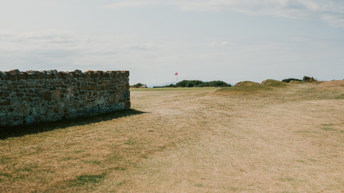 Fried Egg Golf tweet media