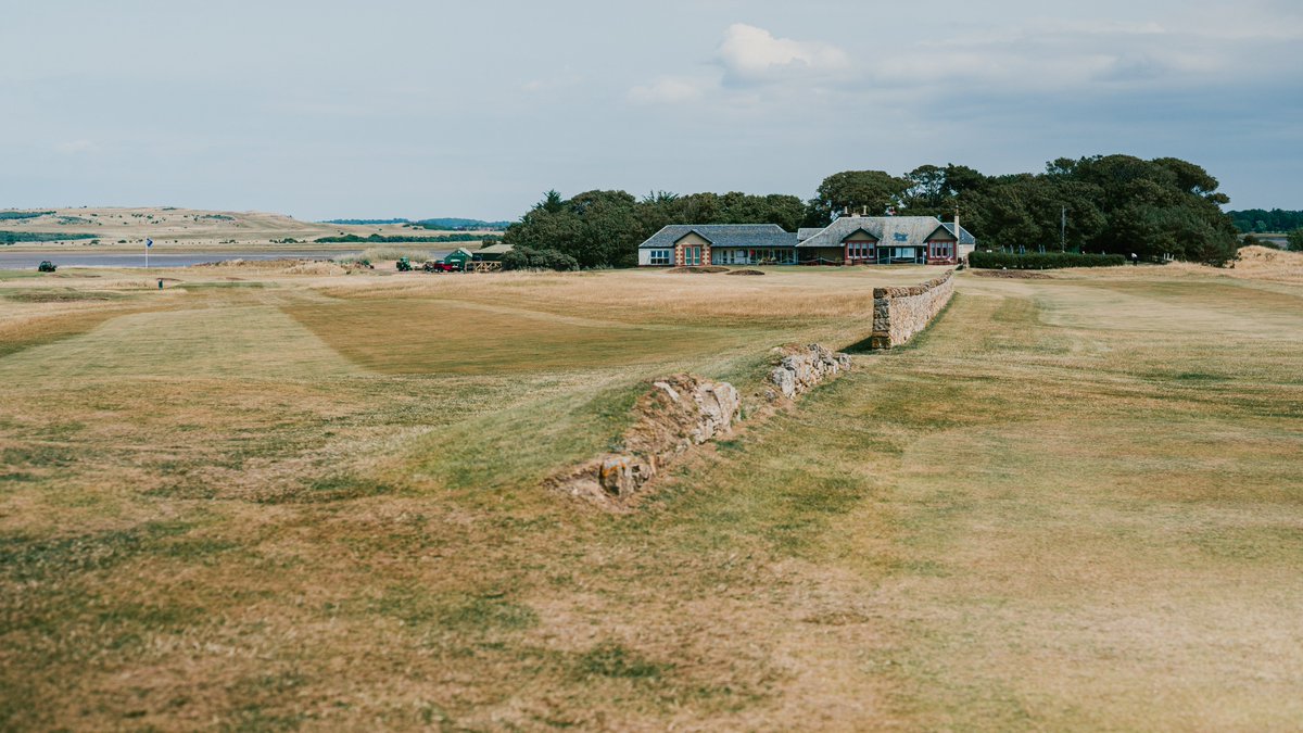 Fried Egg Golf tweet media