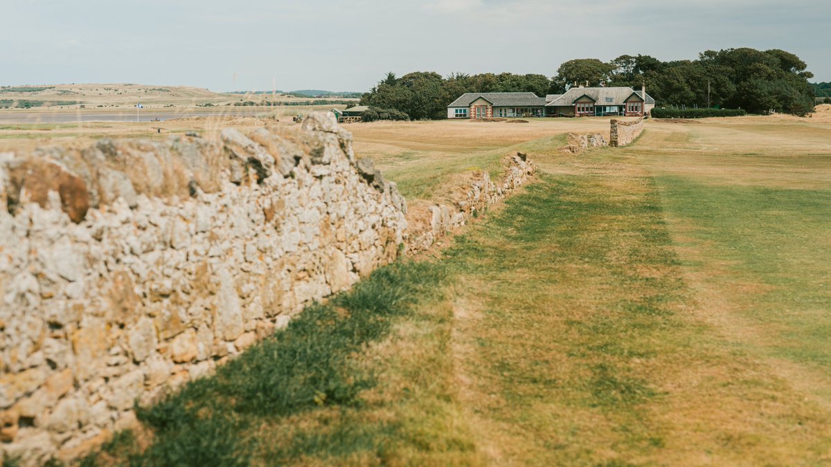 Fried Egg Golf tweet media