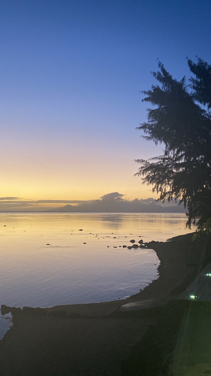 Dr Jess Kolbusz tweet media