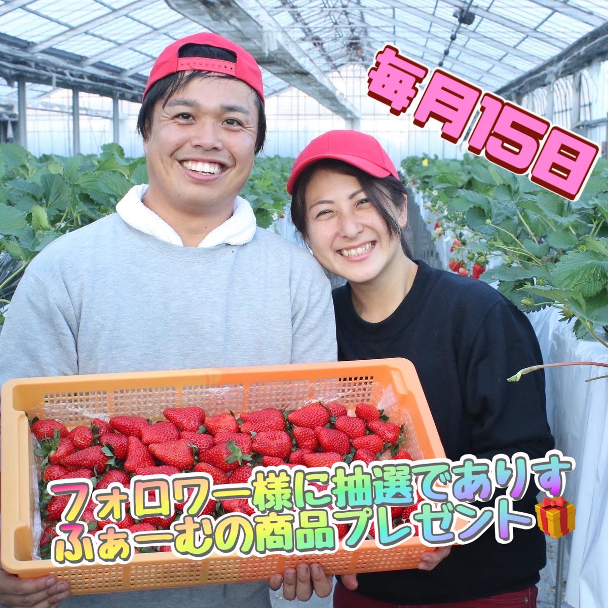 alicefarm15's tweet photo. \フォロー&amp;RTで当たる/
🎁7月のプレゼント企画🎁

三冠達成！ありすふぁーむのプレミアムジェラートをプレゼント

応募方法　
1️⃣当アカウントをフォロー
2️⃣当ツイートをリツイート

応募期間7月15日（土）迄

当選者様にはDMで告知致します🙇‍♀️

🎁インスタ（2名様）でも同様のキャンペーンやってます🎁 https://t.co/hyLBjNIfvM