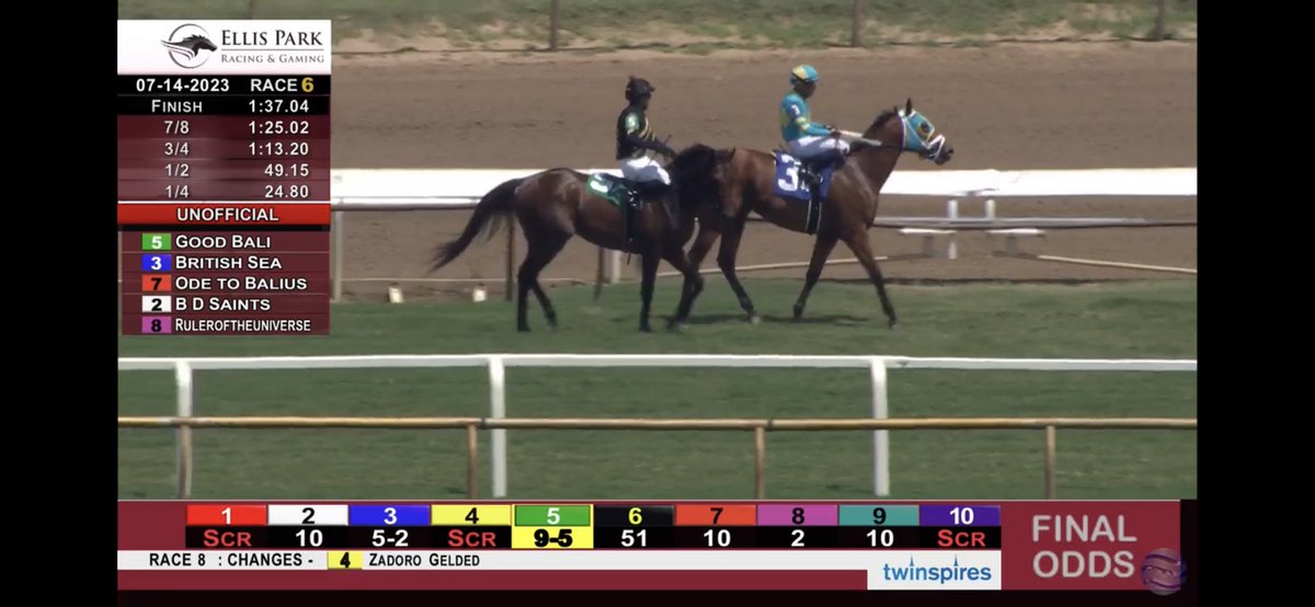bigsixstables's tweet photo. Congratulations to the connections of #Dellacroce and #OdeToBalius, both of whom finished 3rd in their respective maiden races today at Ellis Park.

Our broodmare, QUEEN OF ROCKNROLL, is the granddam to both! It was fun watching them run https://t.co/XwKnKxzvBM
