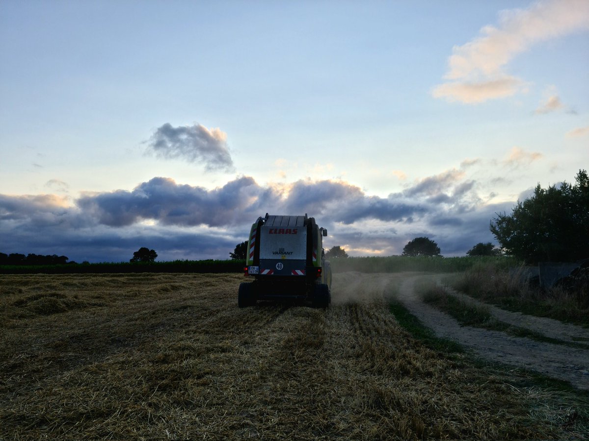 Les_Elles_Terre's tweet image. Voilà ! 
La moisson est finie pour nous #FrAgriMoisson2023 
Place au #RoundBaller 
En espérant que le ciel ne nous tombe pas sur la tête 
#Paille2023 futur litière pour mes #Meuhs 
La nuit risque d&apos;être longue 
#FrAgTw