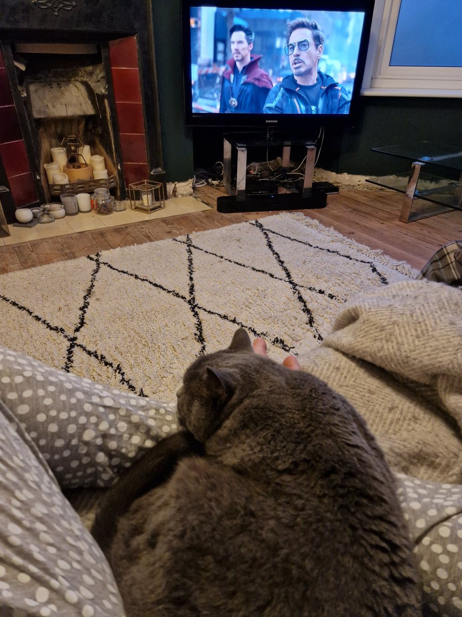 abbyisdancing's tweet photo. Back home after an incredible 3 days in Leeds for #AMAConf with the rest of my @amadigital team (who are also incredible, agreed?).  Took Fred of all 5 seconds to make himself comfy so I guess I'm forgiven for the abandonment. https://t.co/4HGZLmErPn
