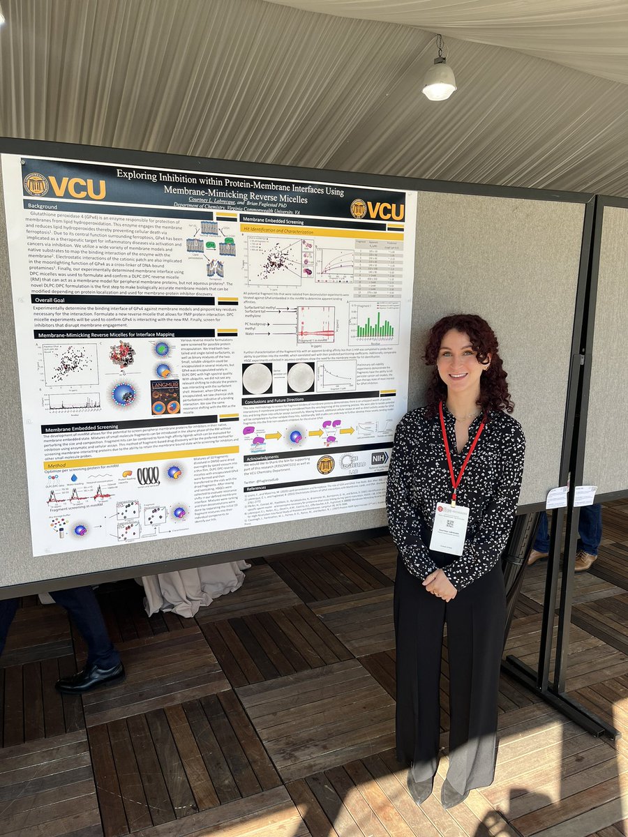 FuglestadLab's tweet photo. Posters today for #p37 are from Abdul: “Revealing the Mechanism of Action of Lipid Chaperone Proteins Using Reverse Micelle Confinement” board 40 and Courtney: “Exploring Inhibition within Protein-Membrane Interfaces Using Membrane-Mimicking Reverse Micelles” board 91. https://t.co/D0yuwa4A5s