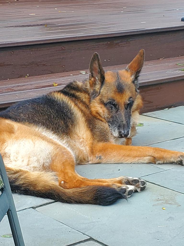 beetzgurl's tweet photo. Storm is gone..she can finally relax https://t.co/RSR1bTm8q0