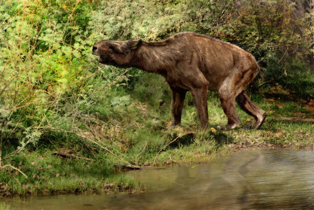 Darin Croft tweet media