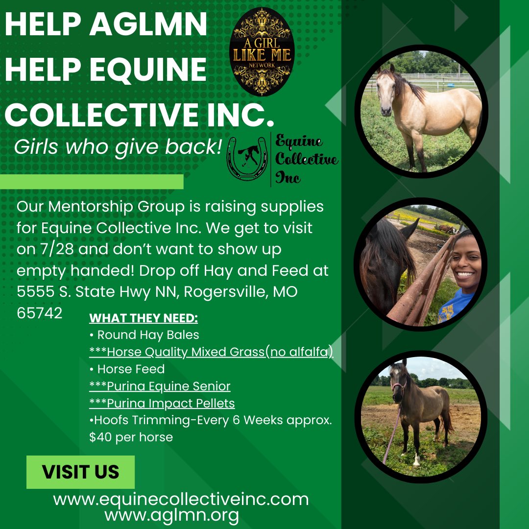 AGirlLikeMeNet1's tweet photo. Our Level Up Mentorship has 2 weeks before we visit Equine Collective for our summer session. We are raising funds for hoofs trimming and items such as Hay and horse feed. We would love for you all to help our cause to support these beautiful horses. 
 https://t.co/tRD8rfMTAJ https://t.co/xQA61QOfxe