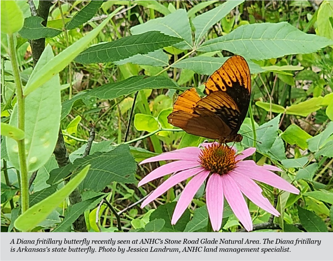 Arkansas Department of Parks, Heritage and Tourism tweet media
