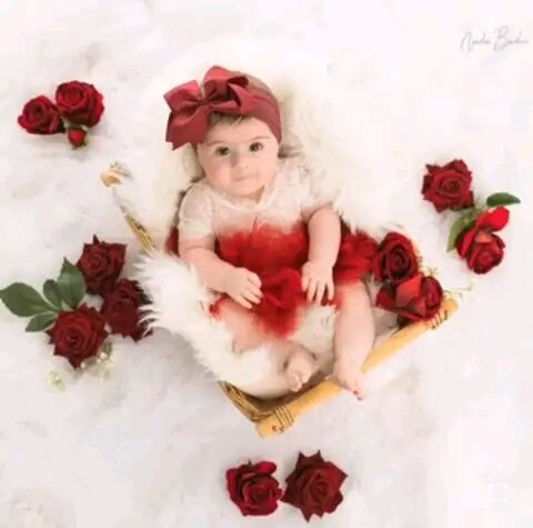 وُجود القحطاني tweet media