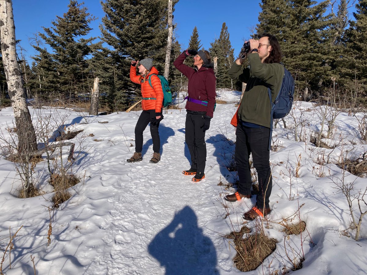 cpawssab's tweet image. Before we sign-off for the weekend, we wanted to extend our warmest thanks to @ConserveAlberta for supporting our #hiking programs again this year! 💚

With their help, we ran 80 programs, and were able to get almost 2,000 participants out in the #Alberta wild! 🥾

#OutdoorEd