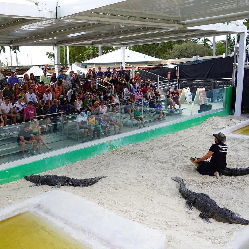 everglades's tweet photo. Happy Friday! Are you looking for something fun and exciting to do this weekend?! Get ready for the thrill of a lifetime - only at Everglades Holiday Park!
#evergladesholidaypark #airboattour #airboat #boattour #tourism #everglades #alligator #alligatorsofinstagram #reptile #reptilesofinstagram #reptiles #wildlife #nature #animals #animalencounters #animalsofinstagram #adventure #thingstodo #florida #fortlauderdale #miami #lovefl