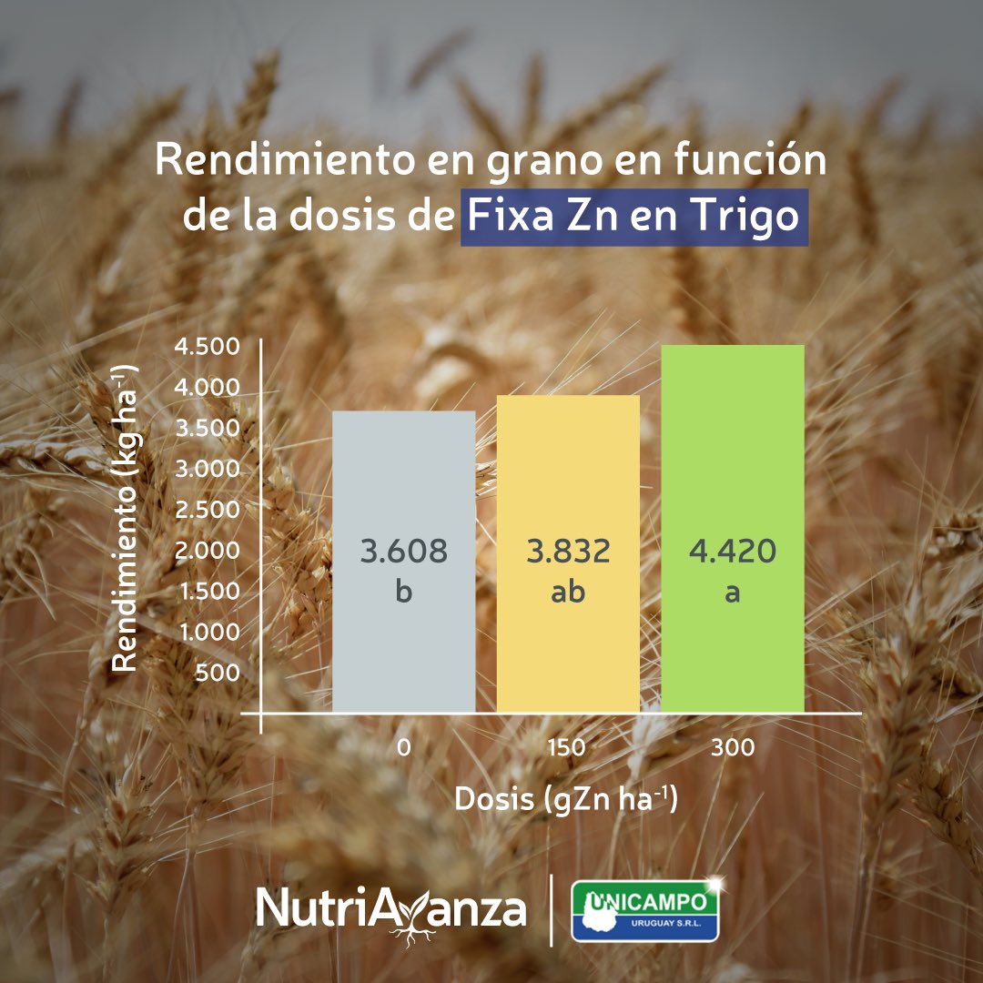 nutriavanza's tweet photo. Les presentamos los resultados del rendimiento en grano en función de la dosis de Fixa Zn en Trigo. 🙌
#elagronopara #campo #cultivos #mejorrendimiento #Nutriavanza #trigo #fixazn #rendimientoengrano #agro https://t.co/ida3pR715G