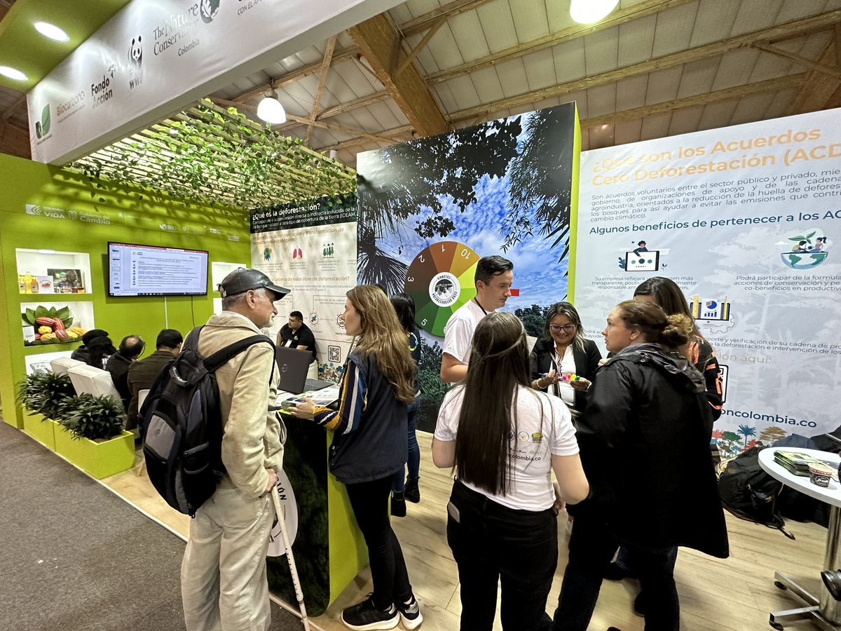 Proyecto Biocarbono Orinoquia tweet media