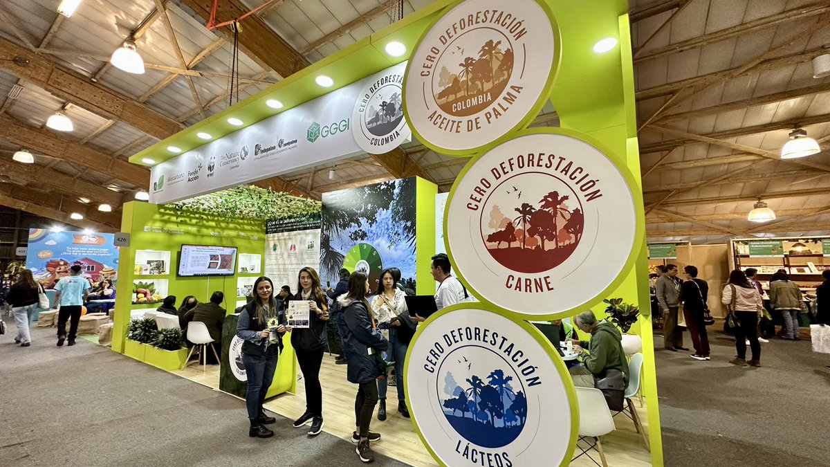 Proyecto Biocarbono Orinoquia tweet media