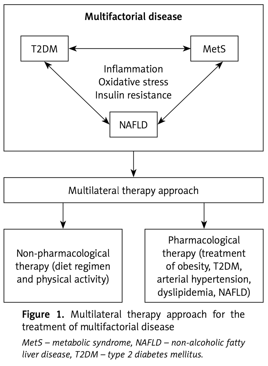 maciejbanach's tweet photo. From the recent (4/2023) issue of the @ArchMedSci: Non-alcoholic fatty liver disease (#NAFLD), metabolic syndrome (#MetS), and type 2 diabetes mellitus (#DMT2): where do we stand today?
@ManfrediRizzo & team!
https://t.co/KbqZjjnZ0z https://t.co/P1Cq1RMEEr